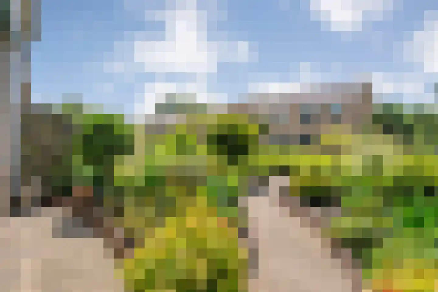 De Hoge Esch 27 Gramsbergen thumbnail 36