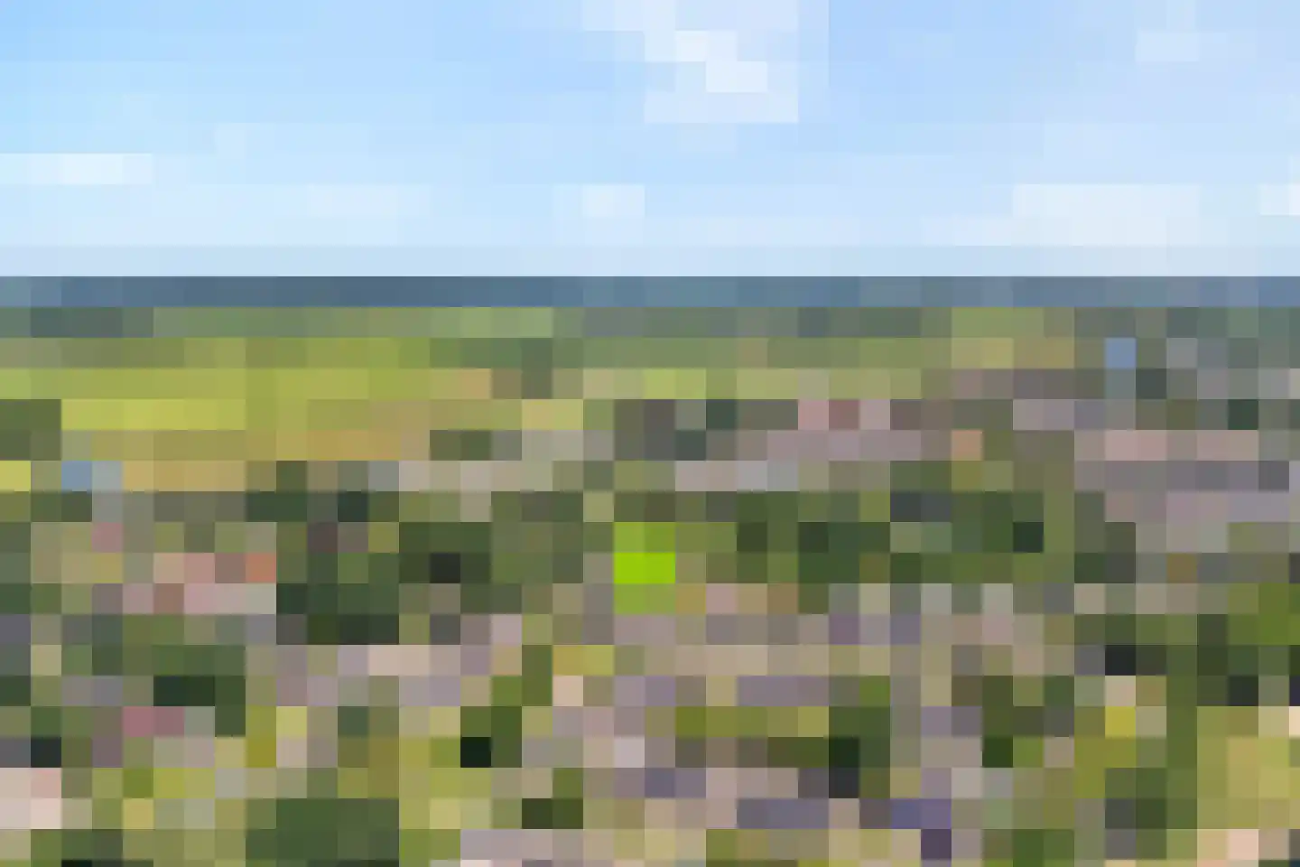 De Hoge Esch 27 Gramsbergen thumbnail 38
