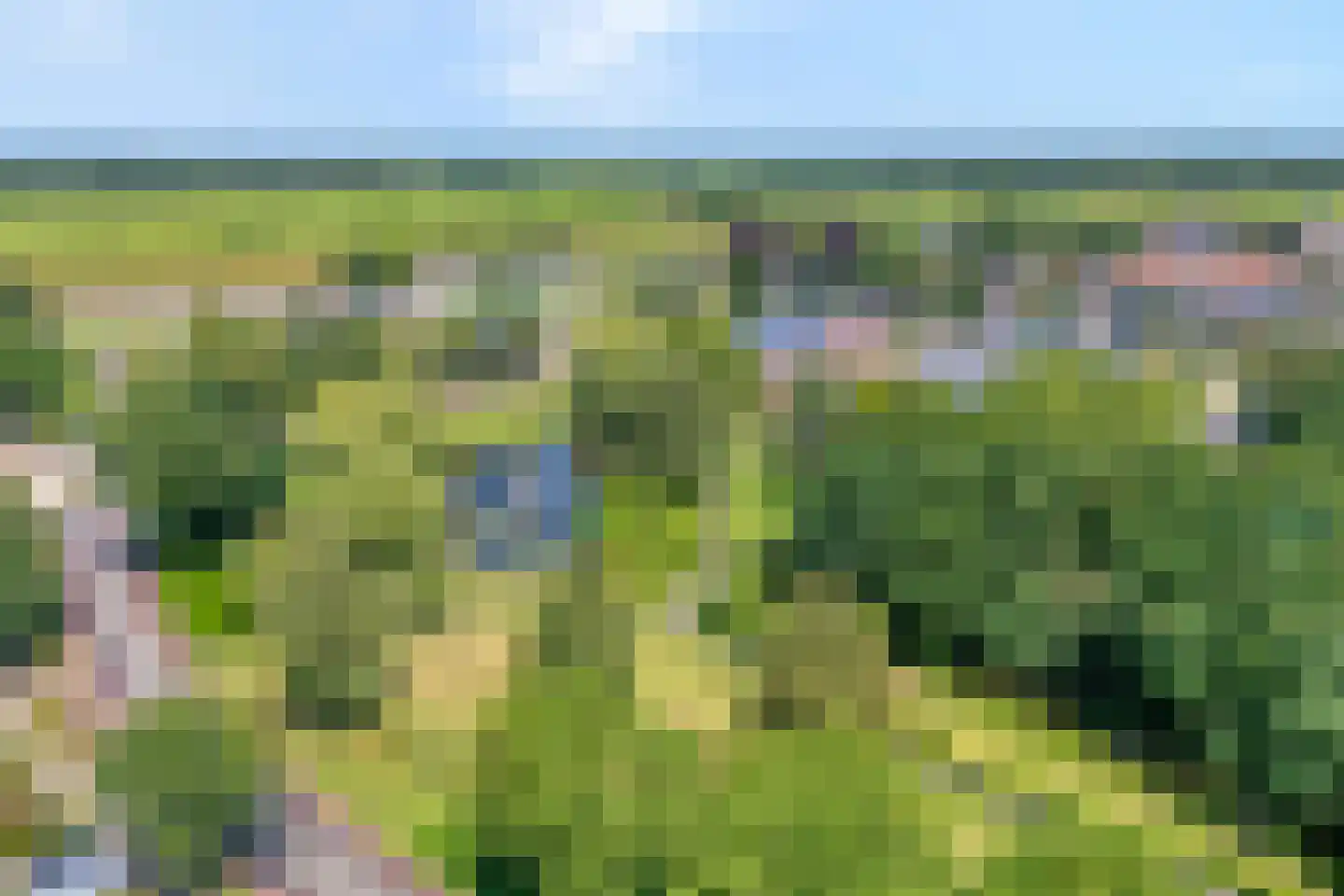 De Hoge Esch 27 Gramsbergen thumbnail 39