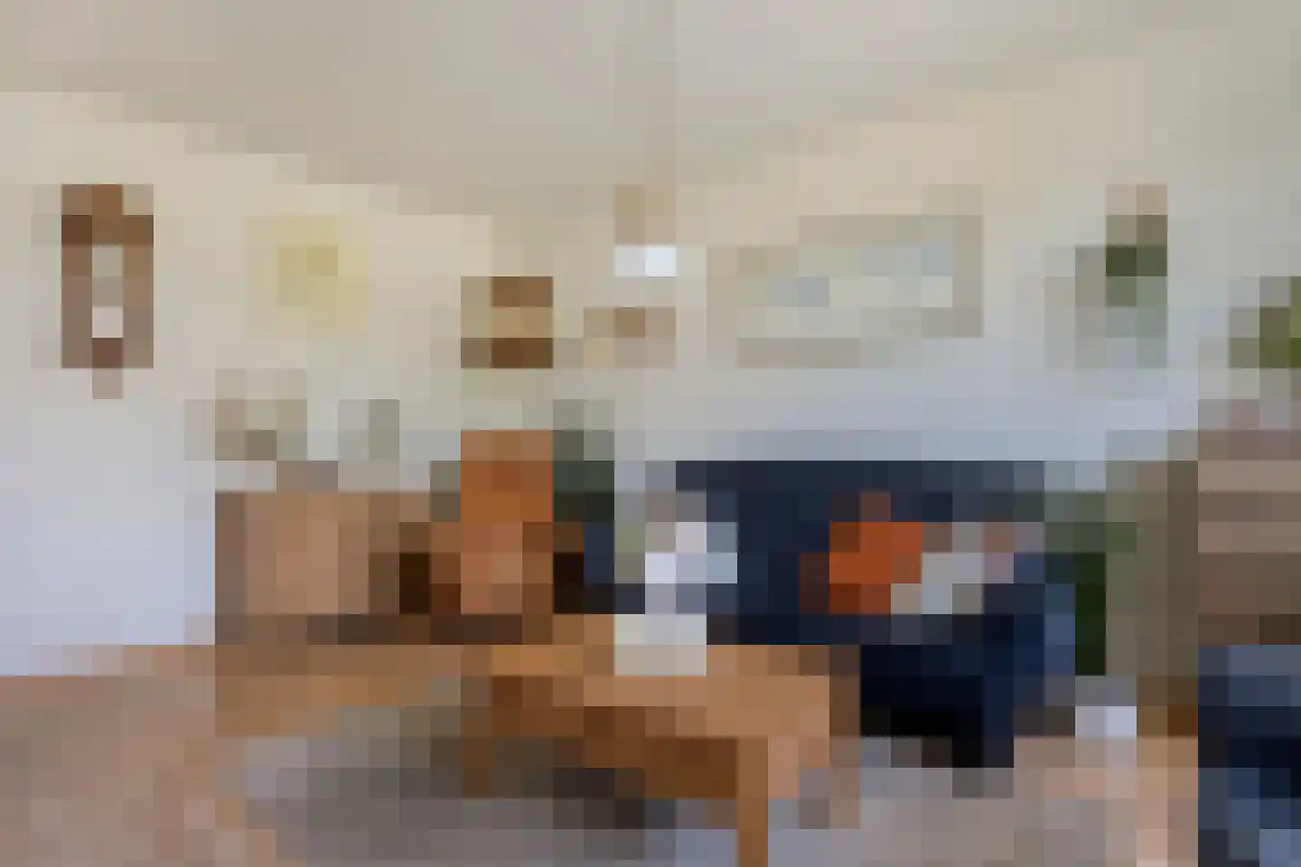 De Hoge Esch 27 Gramsbergen thumbnail 8