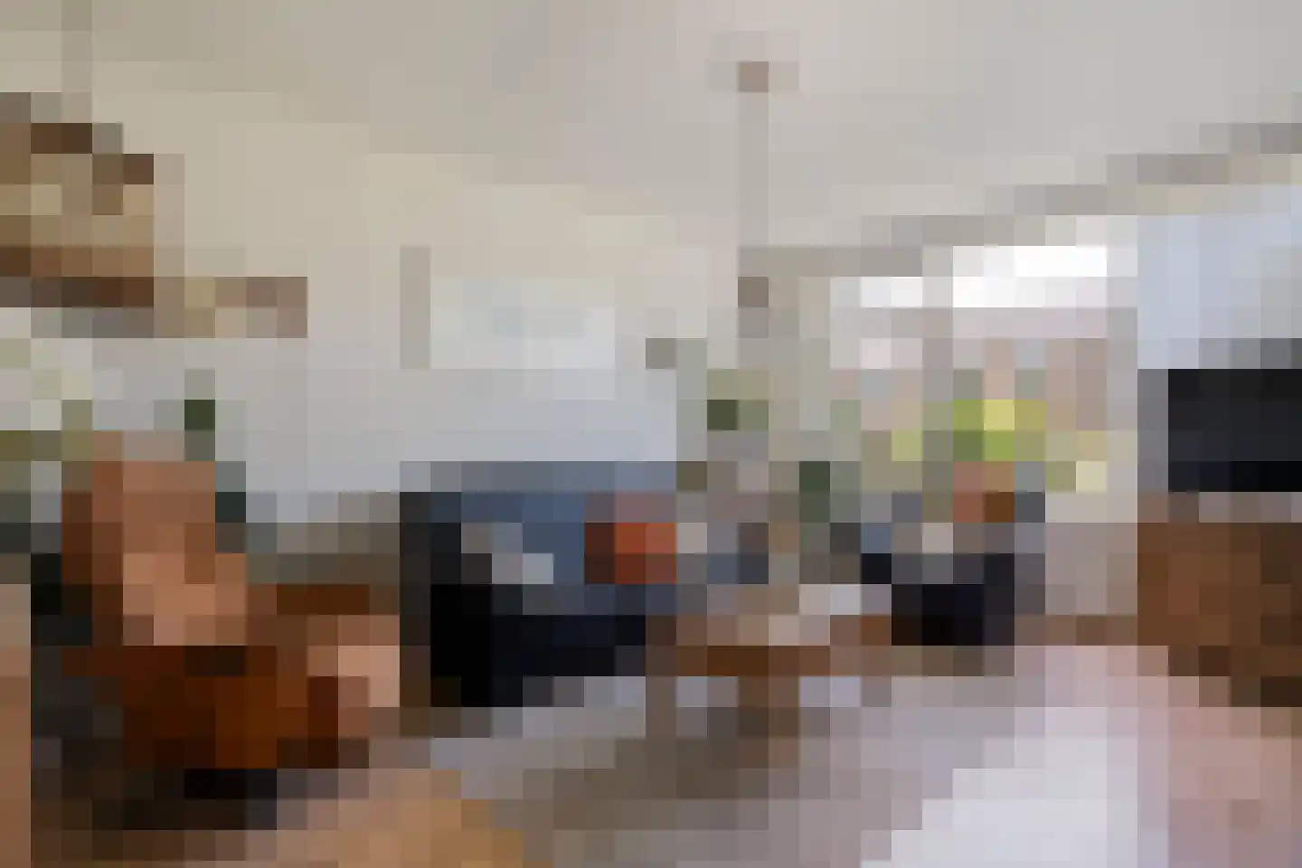 De Hoge Esch 27 Gramsbergen thumbnail 9