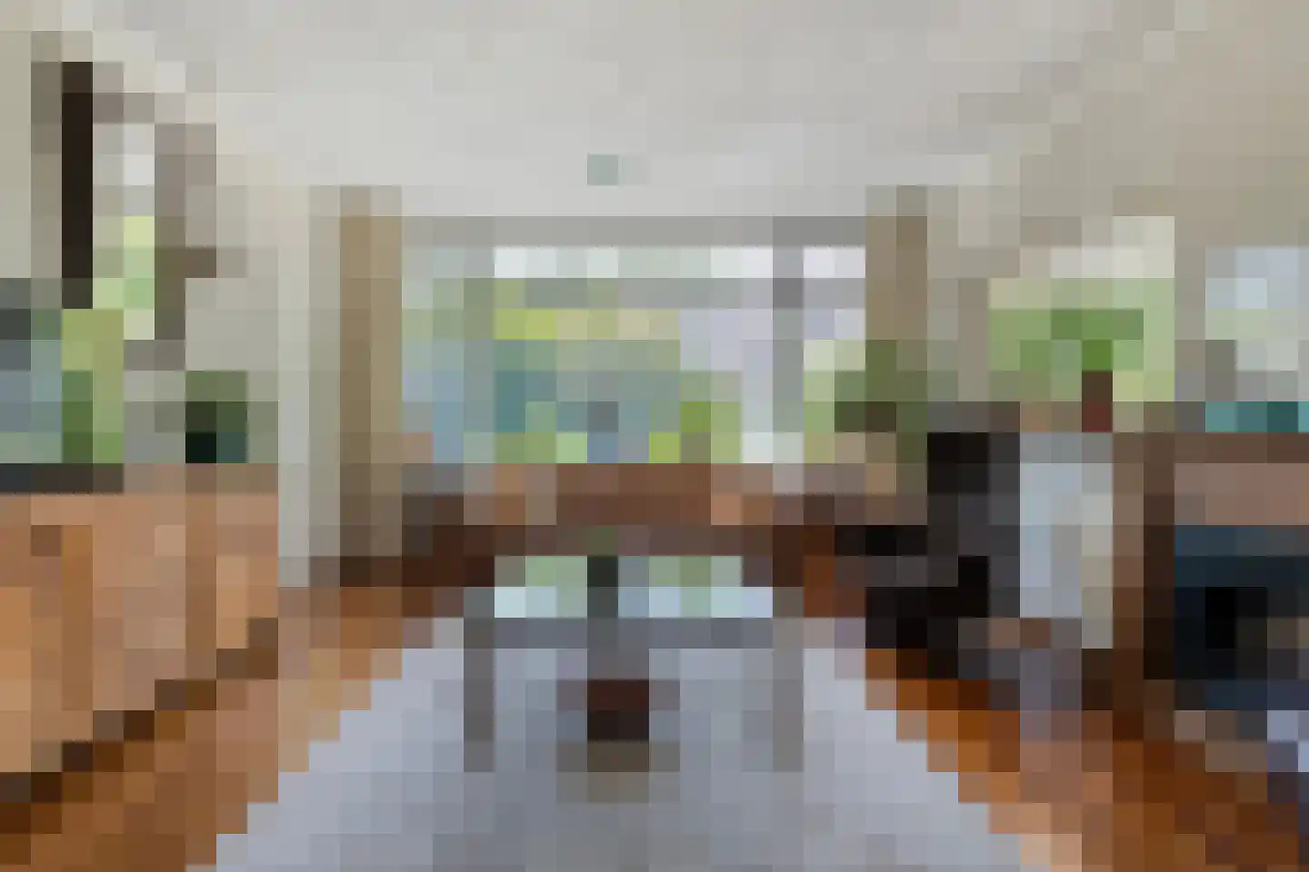 De Hoge Esch 47 Gramsbergen thumbnail 14
