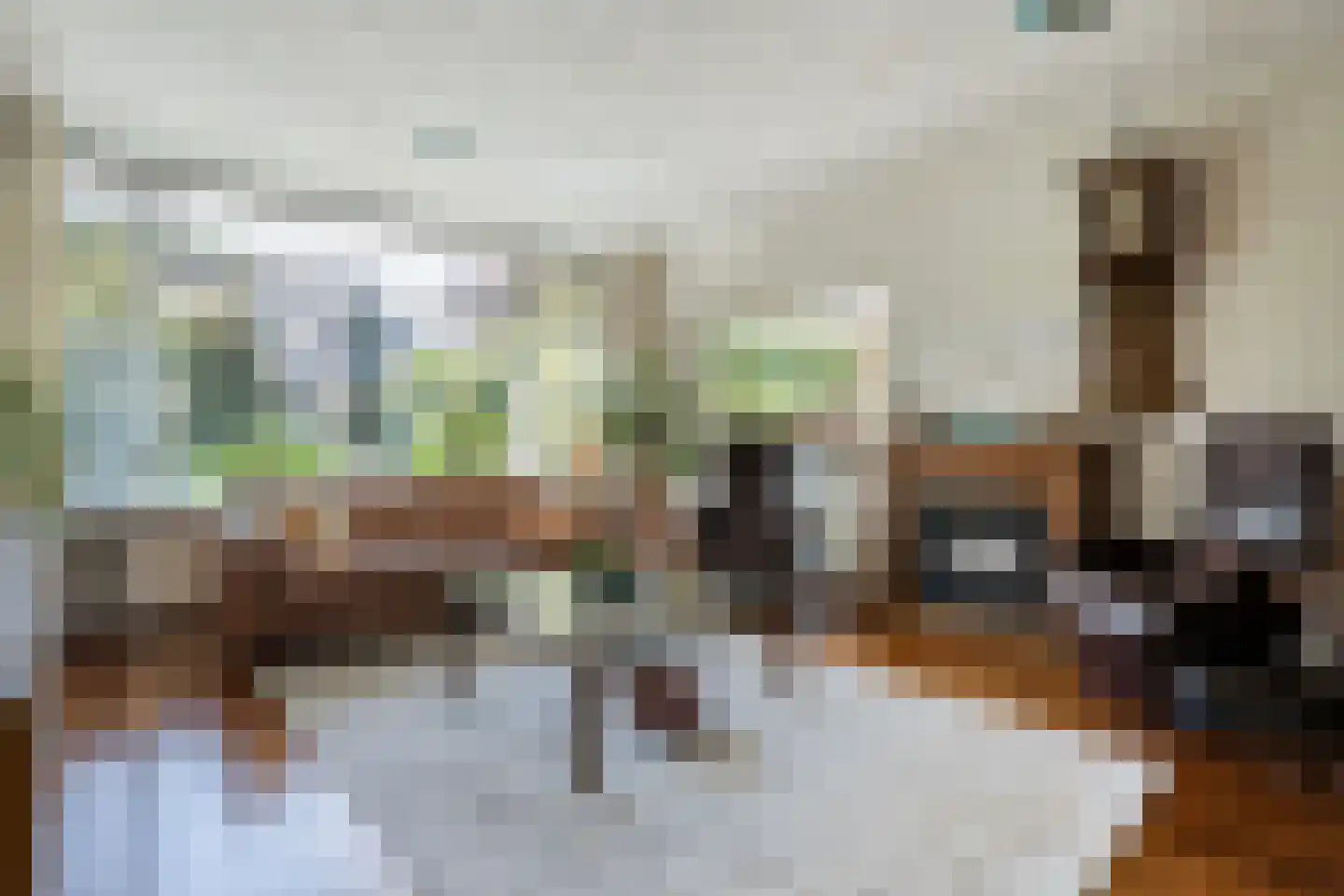 De Hoge Esch 47 Gramsbergen thumbnail 15