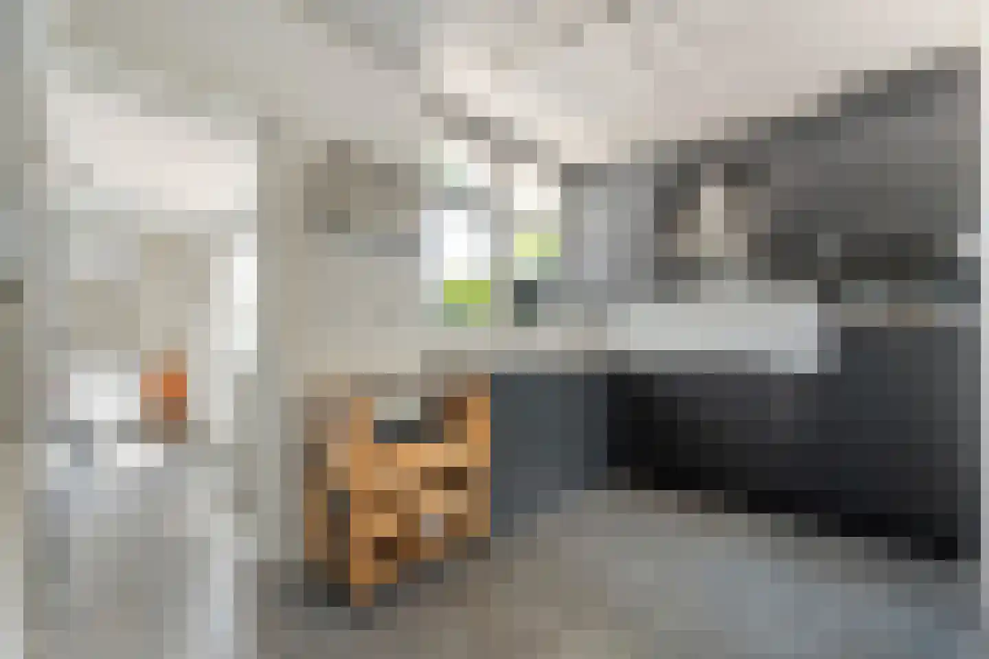 De Hoge Esch 47 Gramsbergen thumbnail 21