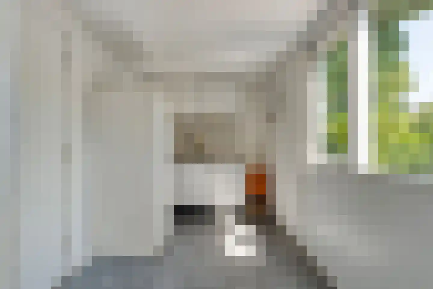 De Hoge Esch 47 Gramsbergen thumbnail 23