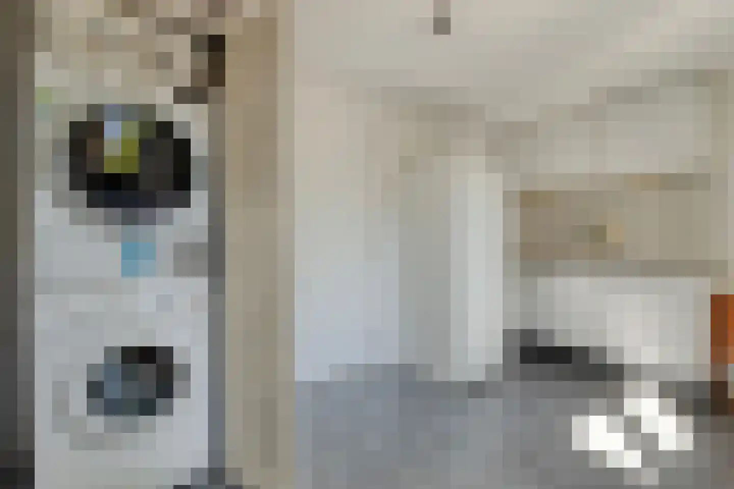 De Hoge Esch 47 Gramsbergen thumbnail 24