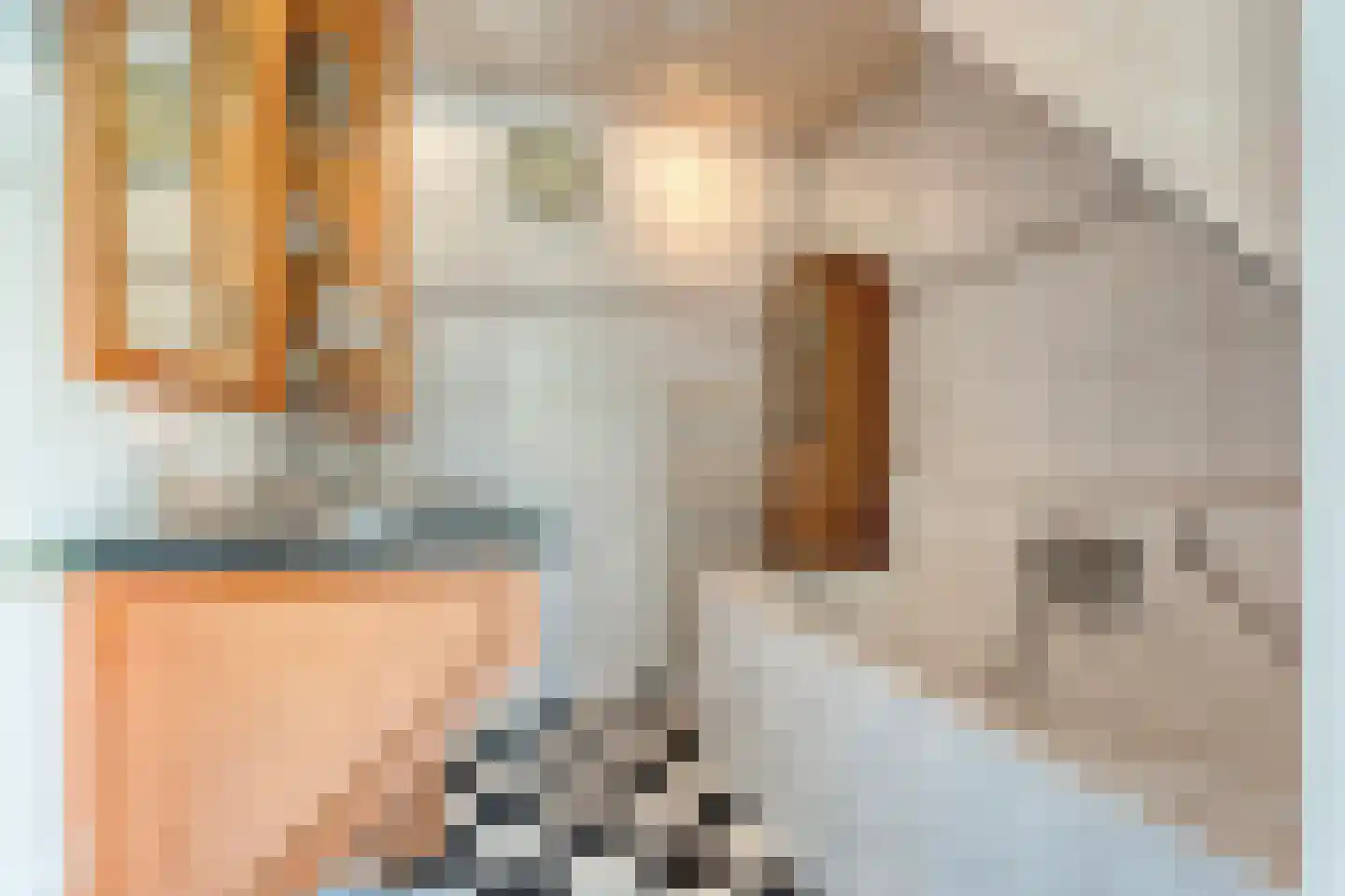 De Hoge Esch 47 Gramsbergen thumbnail 26