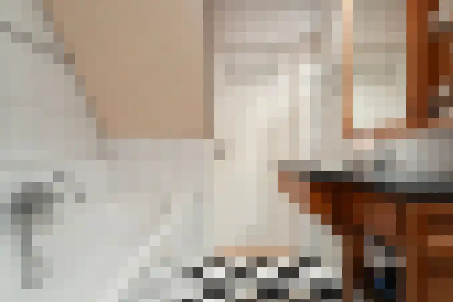 De Hoge Esch 47 Gramsbergen thumbnail 27