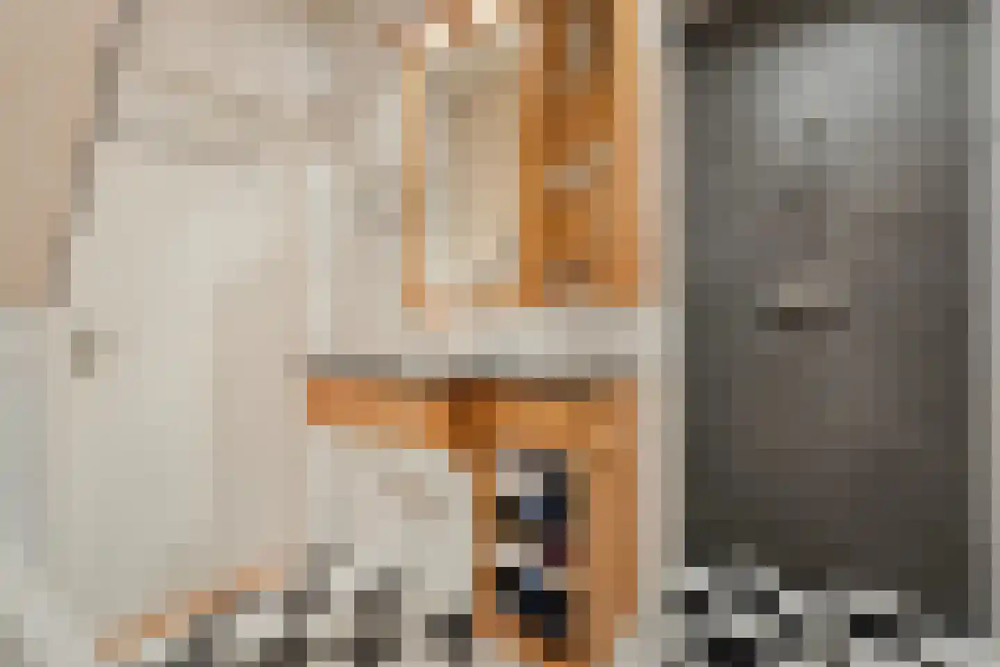 De Hoge Esch 47 Gramsbergen thumbnail 28