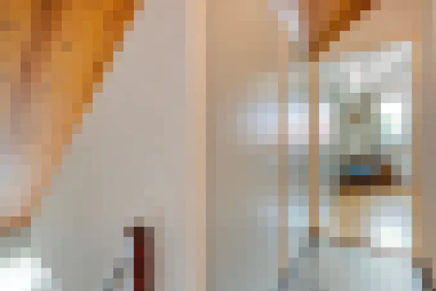 De Hoge Esch 47 Gramsbergen thumbnail 29