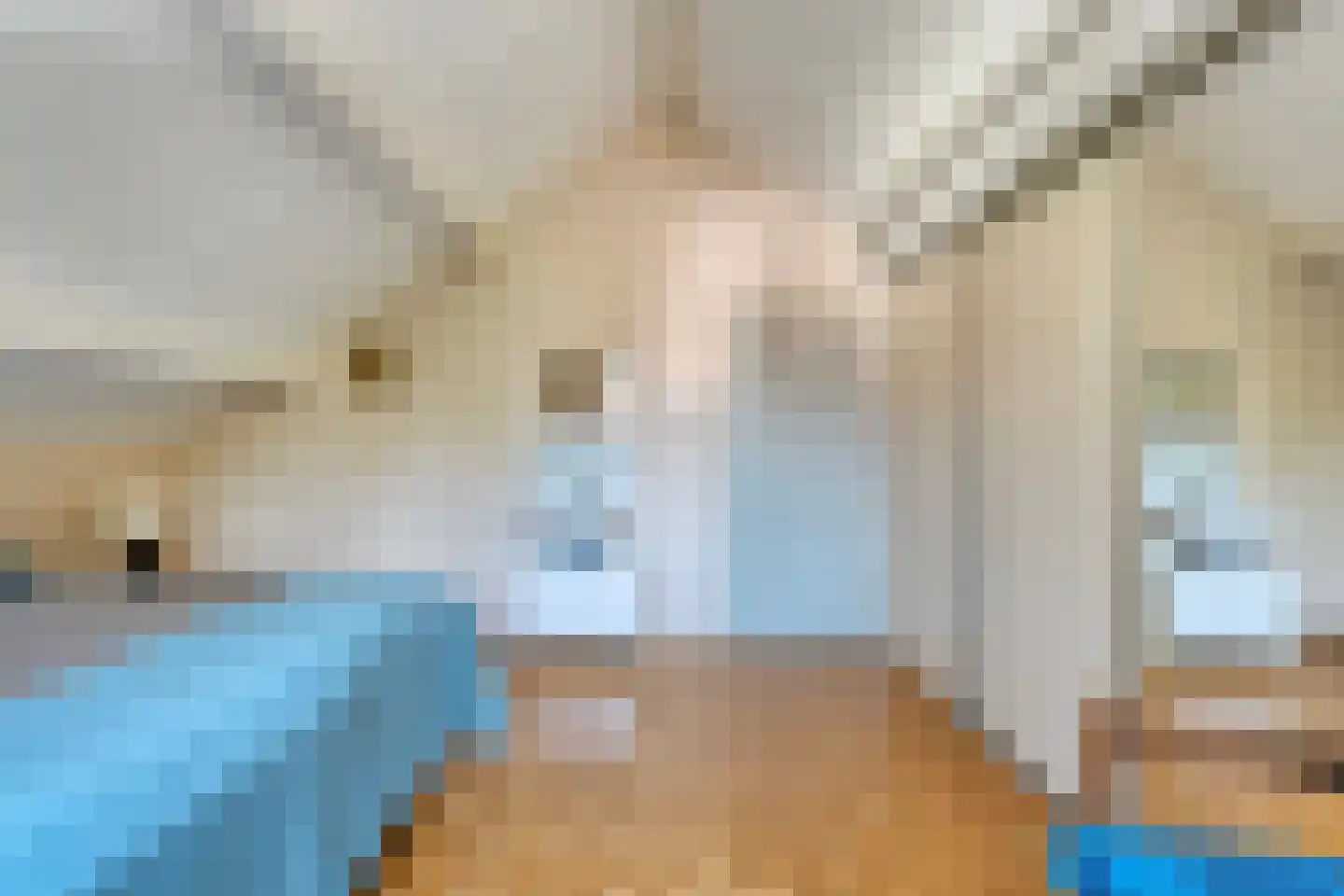 De Hoge Esch 47 Gramsbergen thumbnail 34
