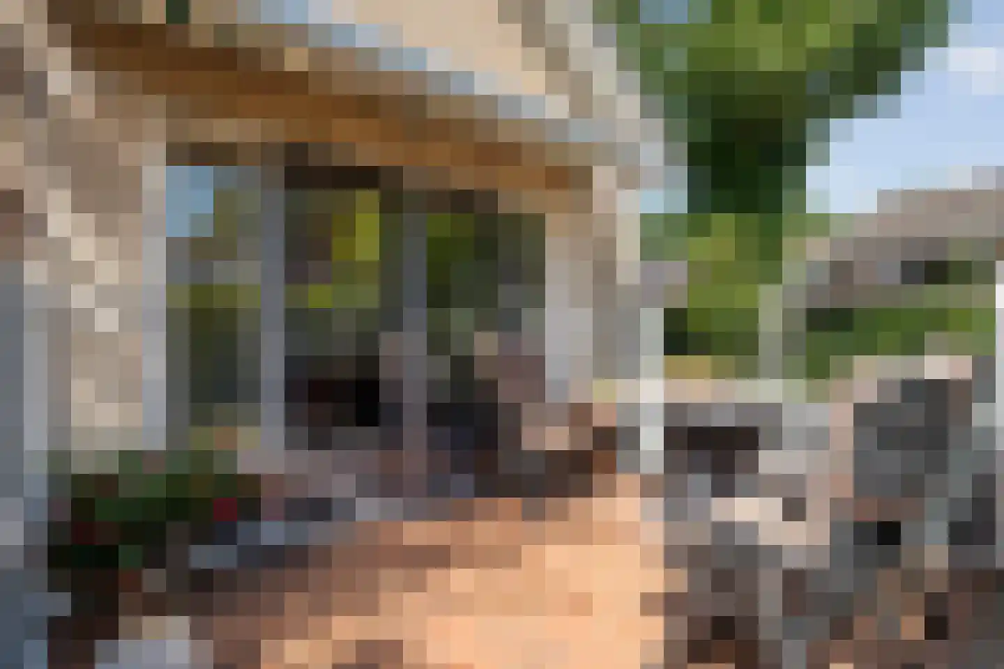 De Hoge Esch 47 Gramsbergen thumbnail 36