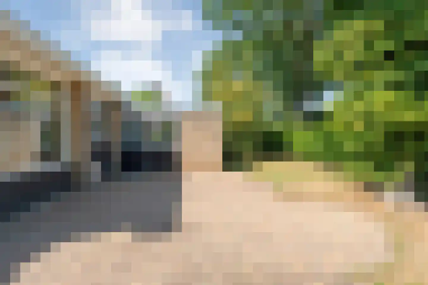 De Hoge Esch 47 Gramsbergen thumbnail 38