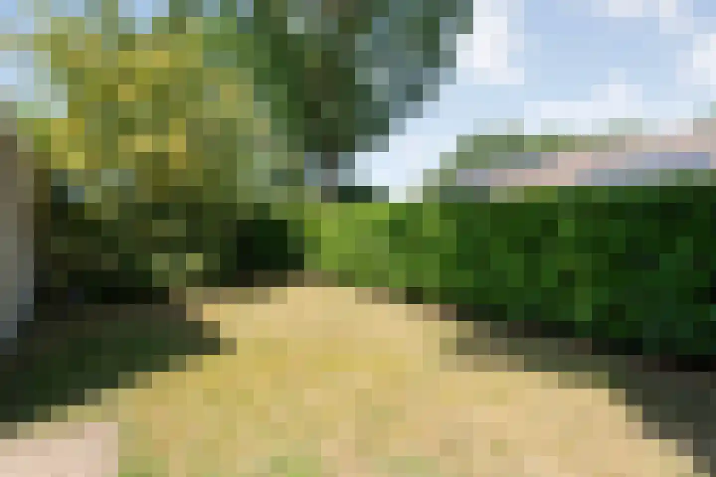 De Hoge Esch 47 Gramsbergen thumbnail 39