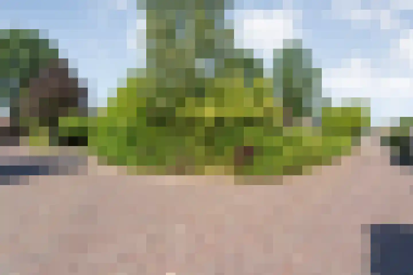 De Hoge Esch 47 Gramsbergen thumbnail 4