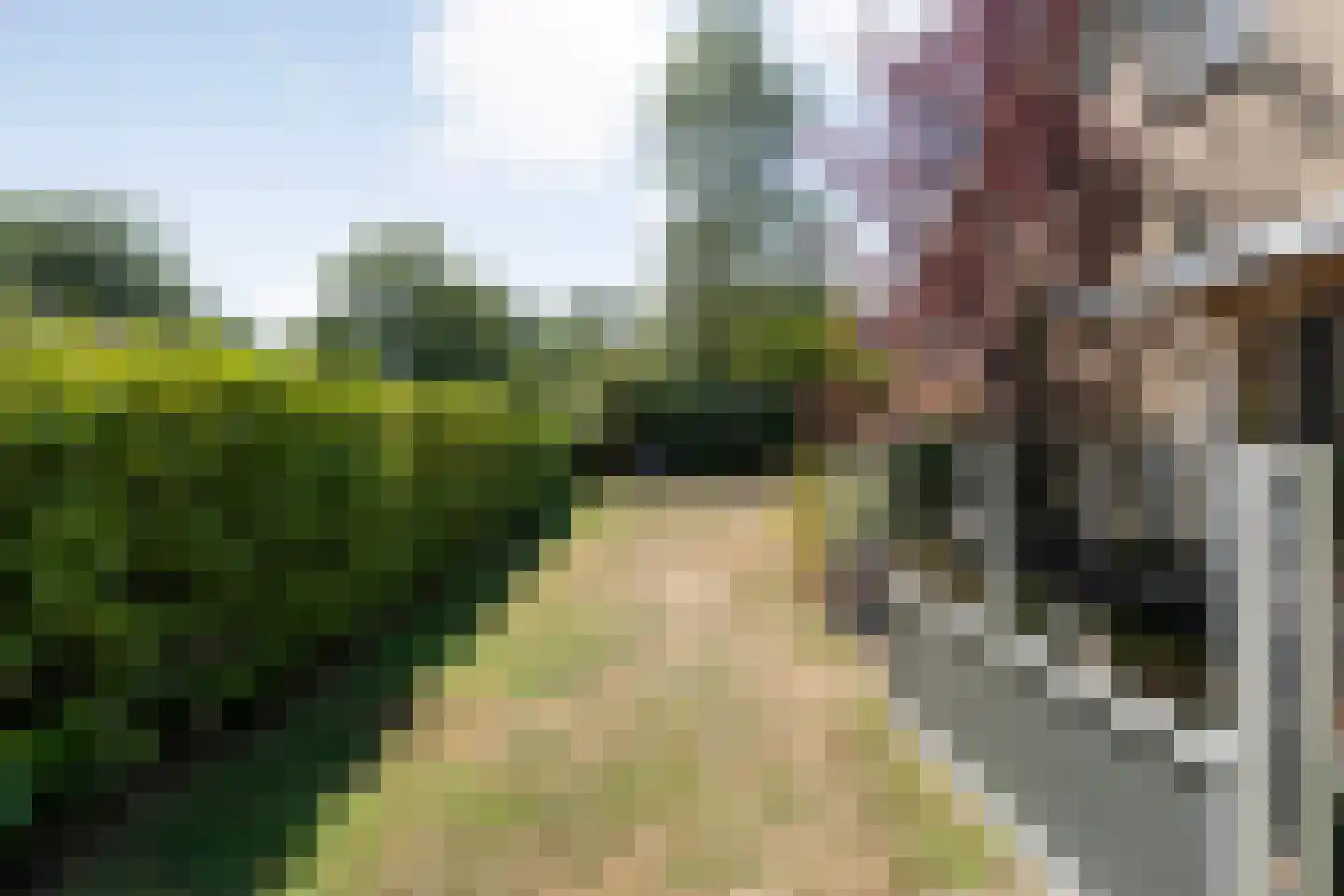 De Hoge Esch 47 Gramsbergen thumbnail 40