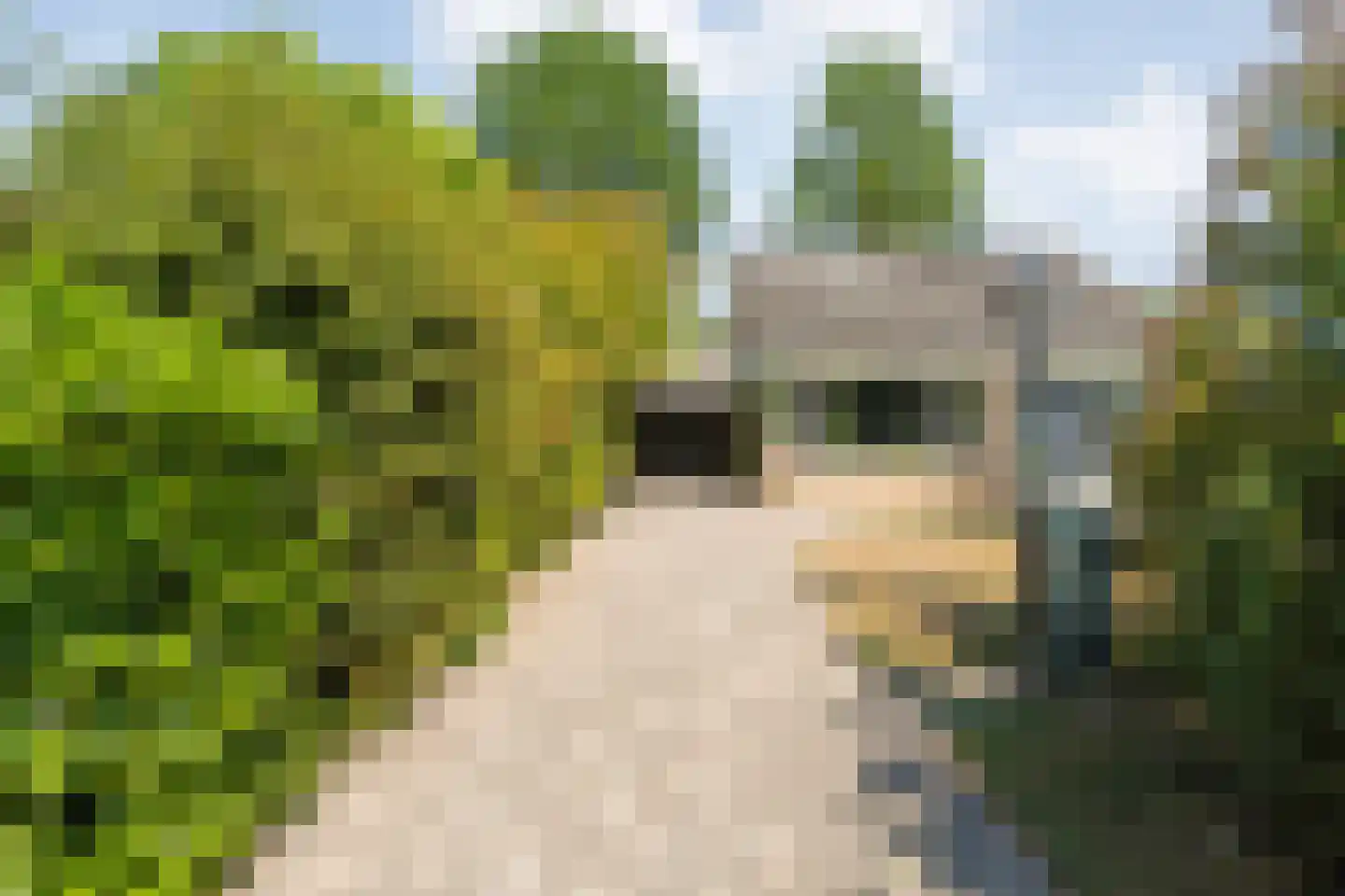 De Hoge Esch 47 Gramsbergen thumbnail 5
