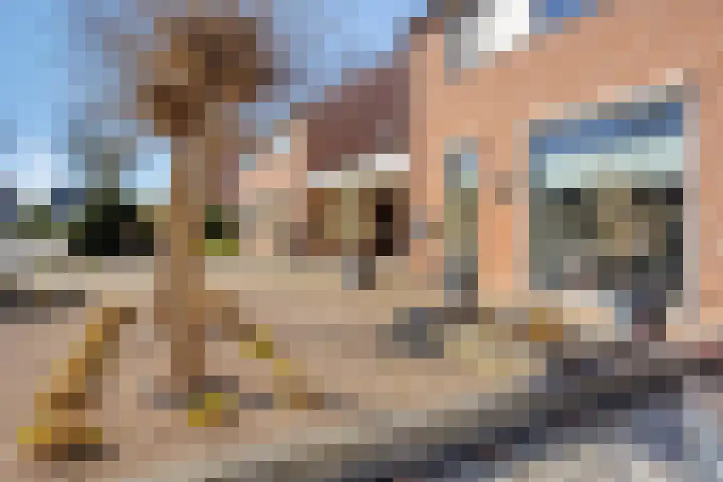 De Hoge Hoeve 12 Westervoort thumbnail 4