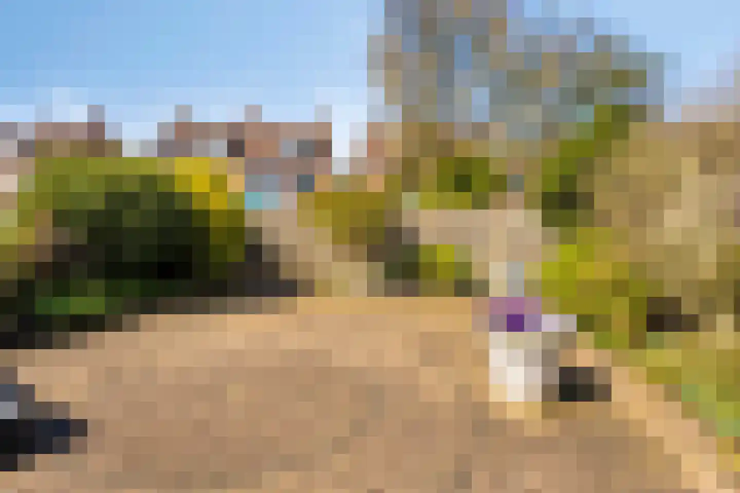 De Hoge Hoeve 12 Westervoort thumbnail 45