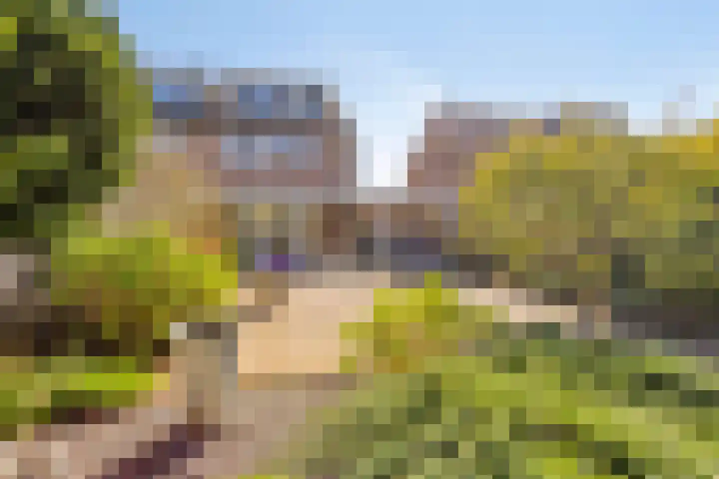 De Hoge Hoeve 12 Westervoort thumbnail 47