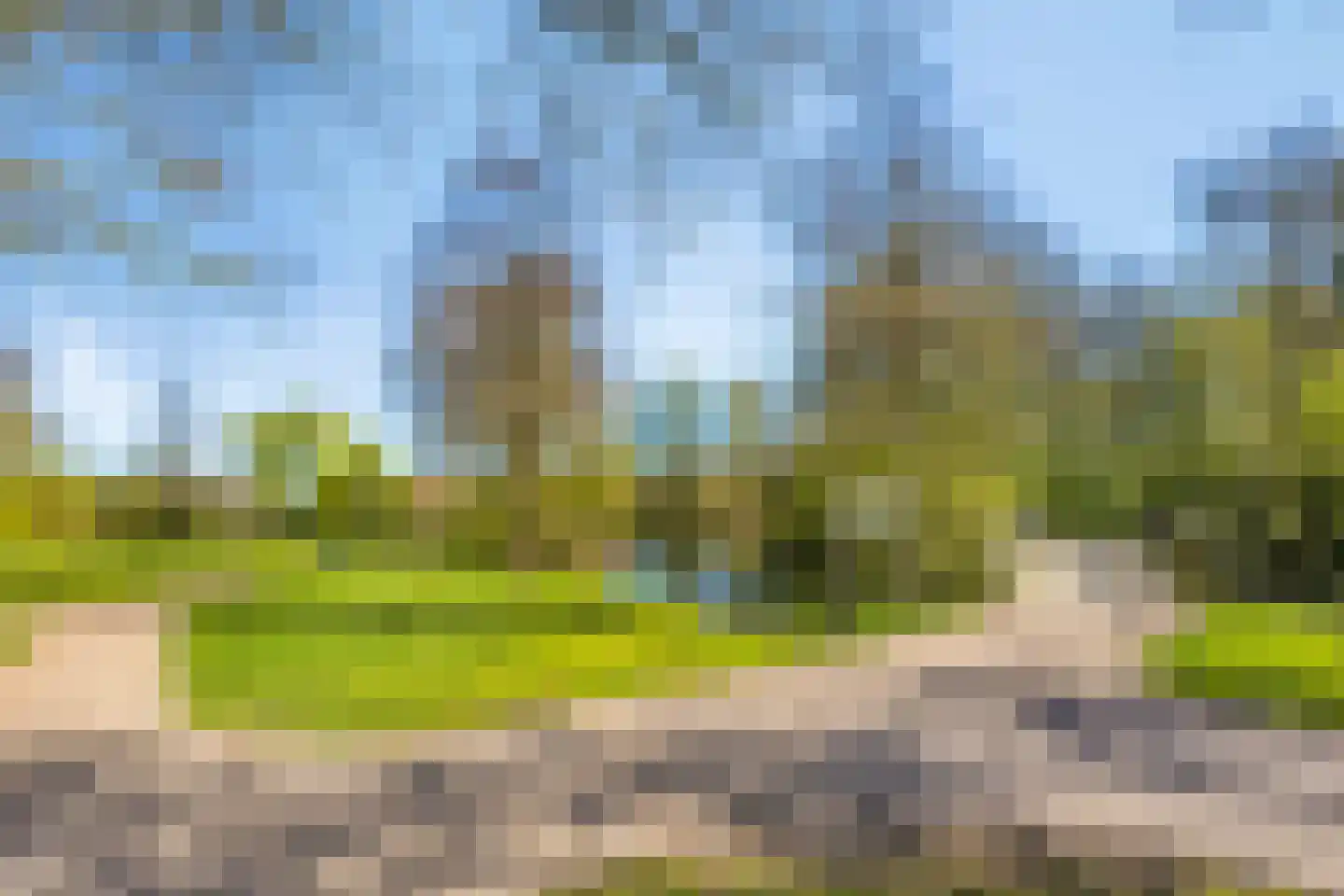 De Hoge Hoeve 12 Westervoort thumbnail 49
