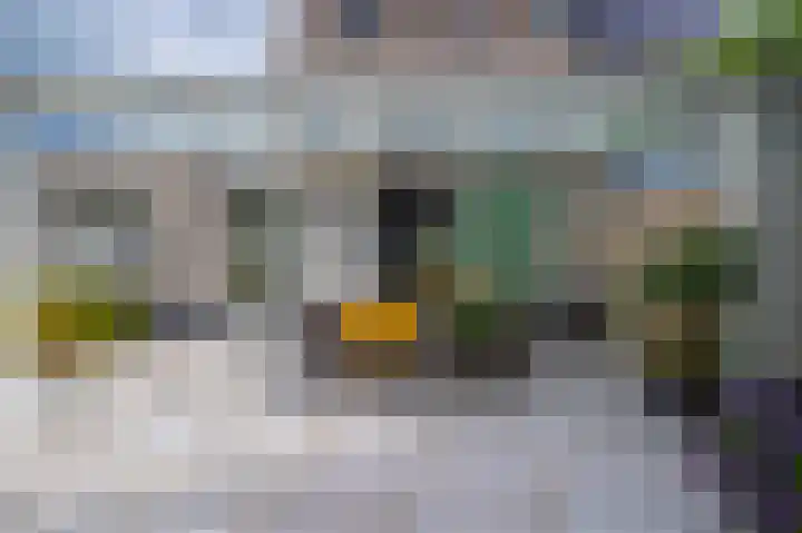 De Hoge Hoeve 30 Westervoort thumbnail 32
