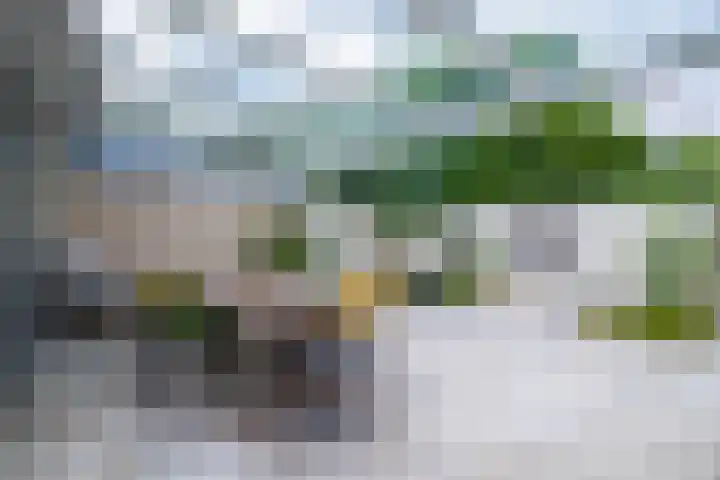 De Hoge Hoeve 30 Westervoort thumbnail 34