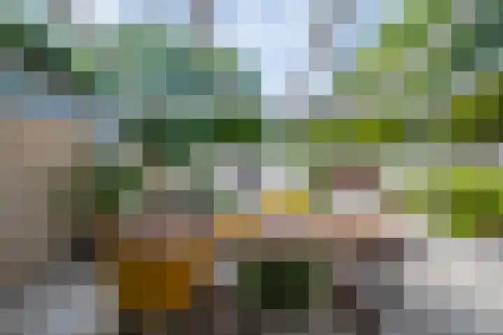 De Hoge Hoeve 30 Westervoort thumbnail 35