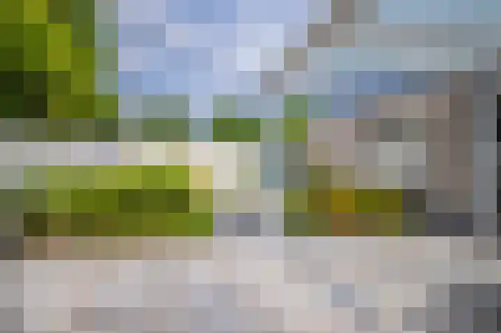 De Hoge Hoeve 30 Westervoort thumbnail 36