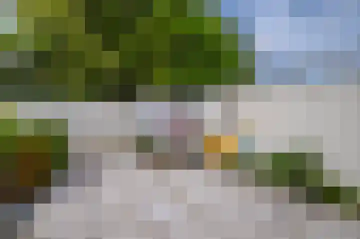 De Hoge Hoeve 30 Westervoort thumbnail 38