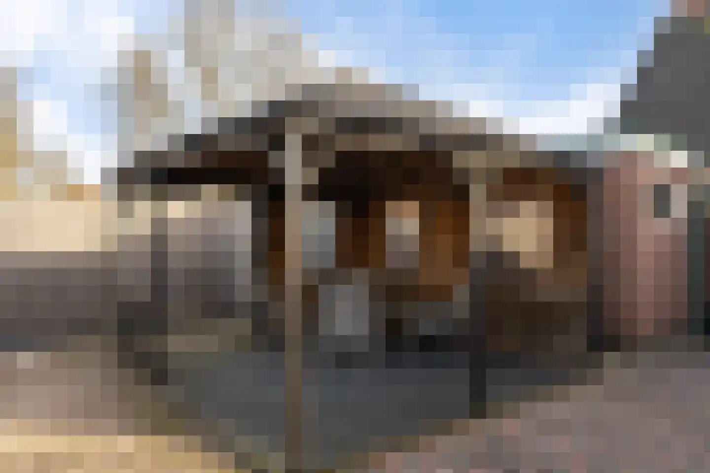De Hoge Kamp 24 Opende thumbnail 30