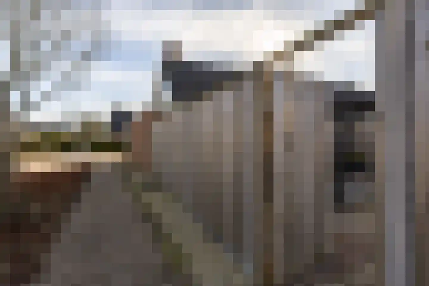 De Hoge Kamp 24 Opende thumbnail 36