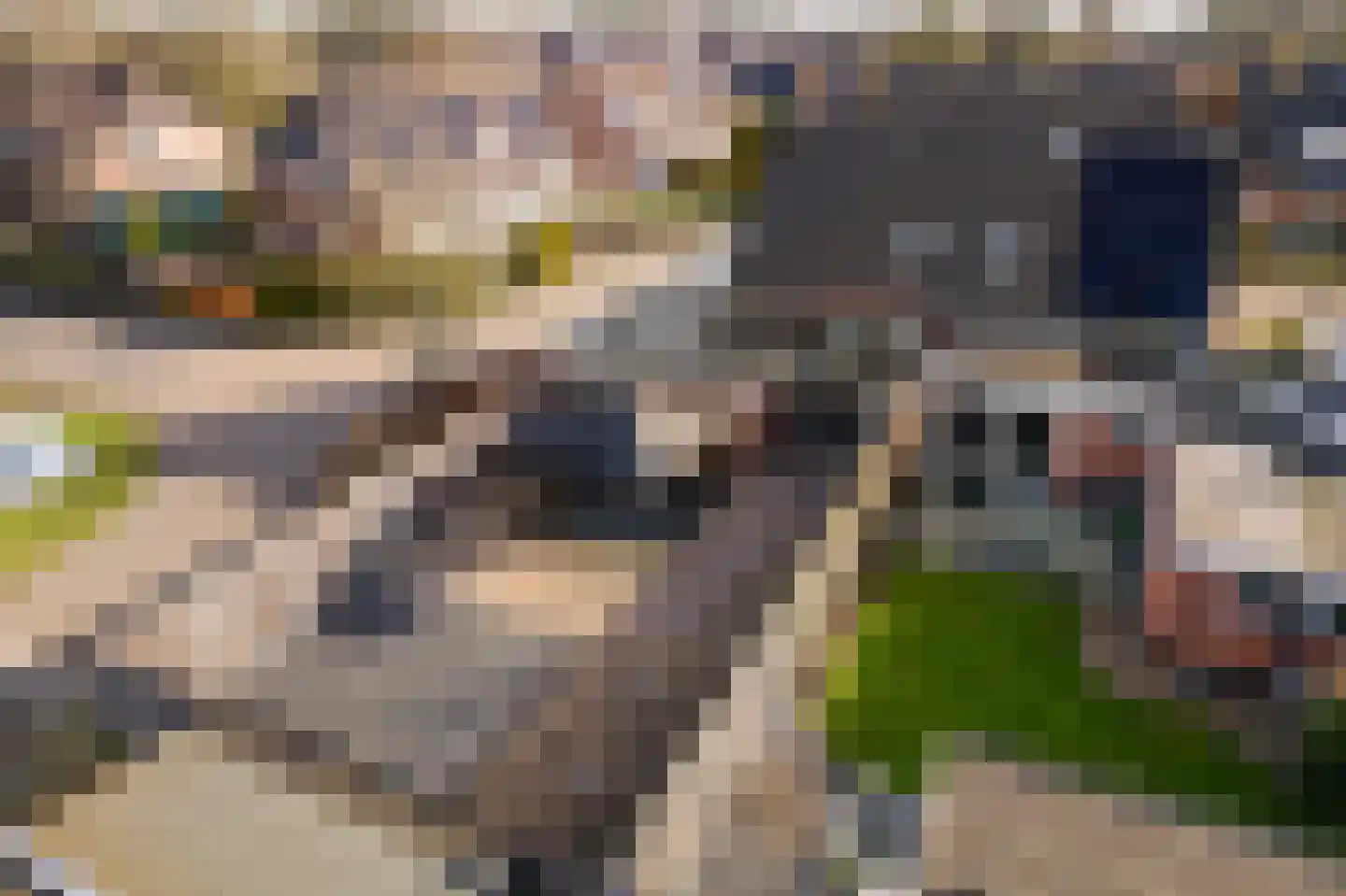 De Hoge Kamp 24 Opende thumbnail 37