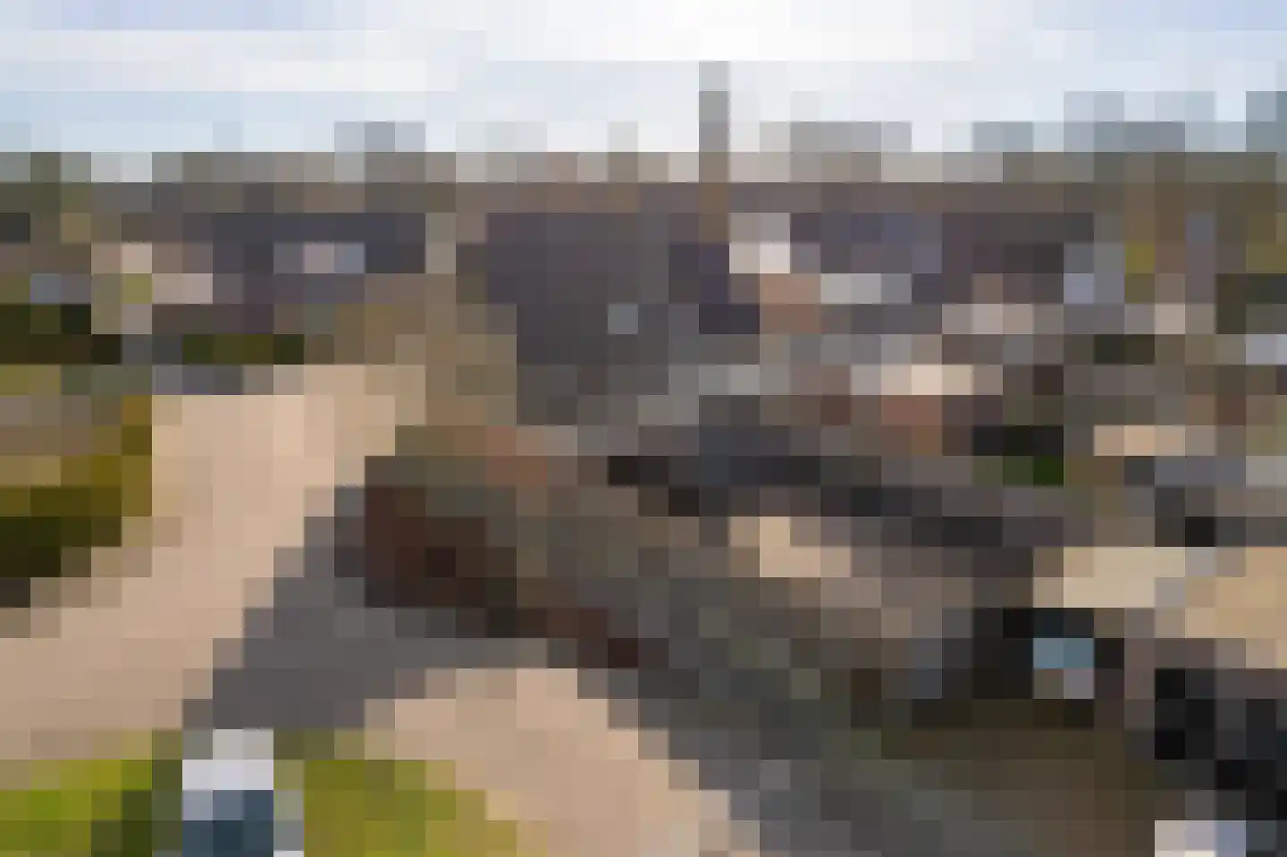 De Hoge Kamp 24 Opende thumbnail 38