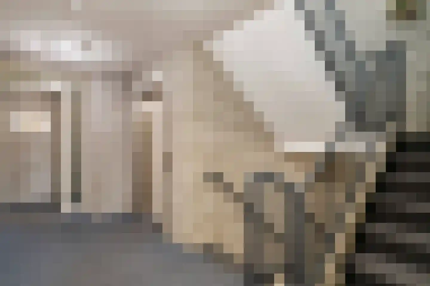 De Hoge Kei 311 Weert thumbnail 11