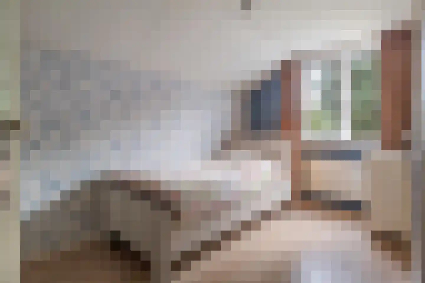 De Hoge Loo 17 Emmen thumbnail 19
