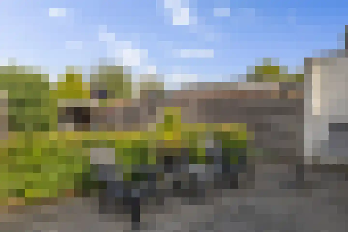 De Hoge Loo 17 Emmen thumbnail 23