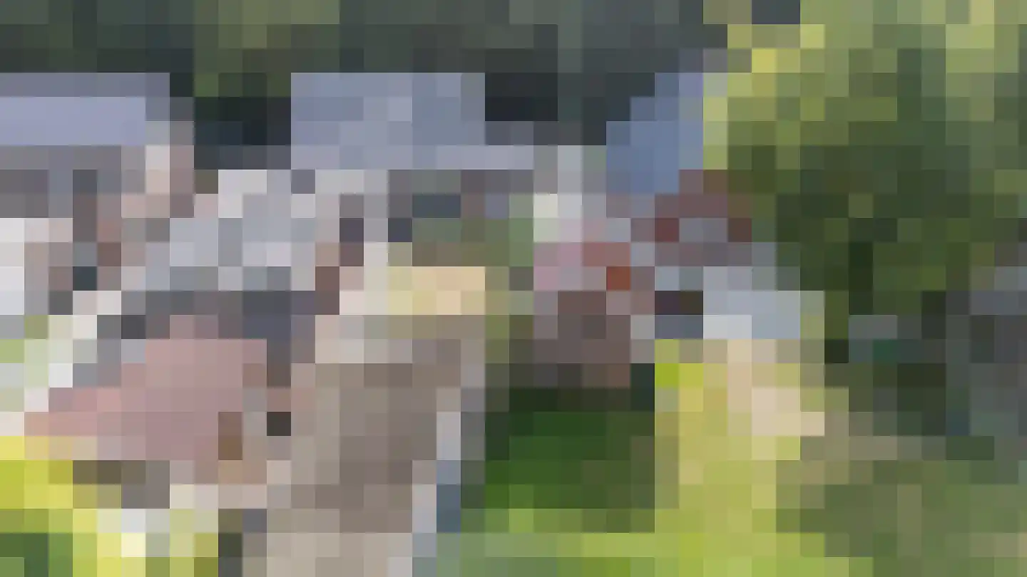 De Hoge Loo 17 Emmen thumbnail 34