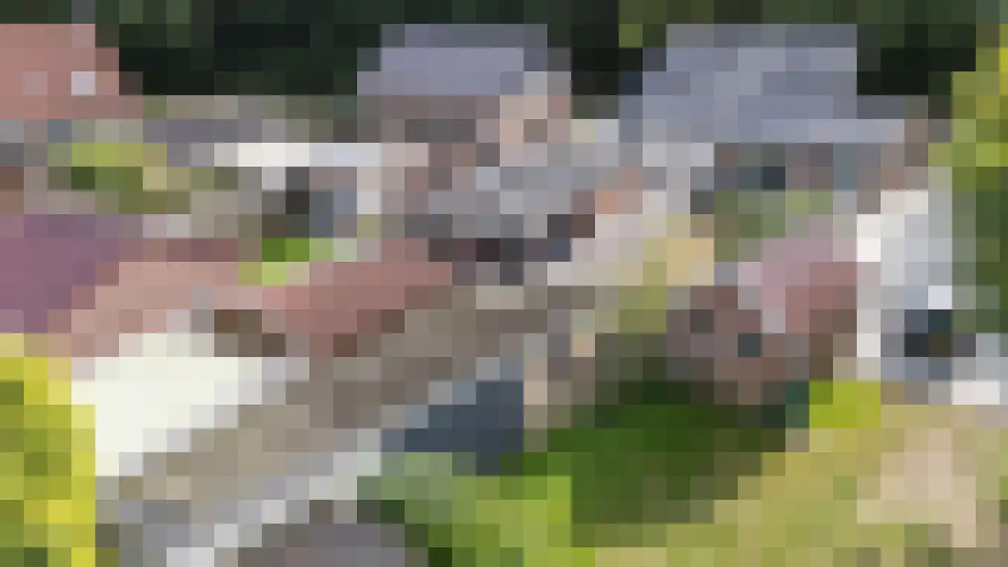 De Hoge Loo 17 Emmen thumbnail 35