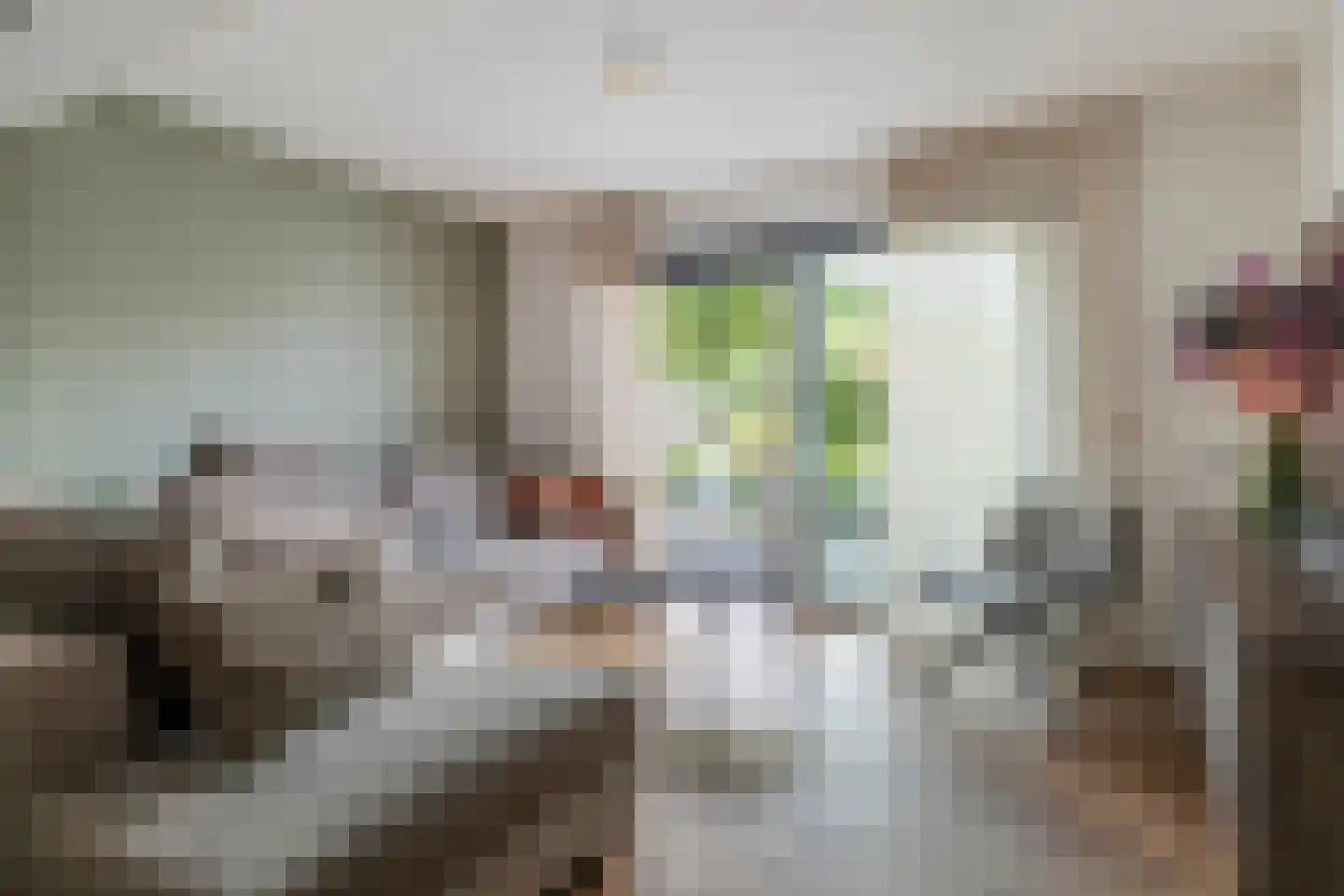 De Hoge Loo 17 Emmen thumbnail 4
