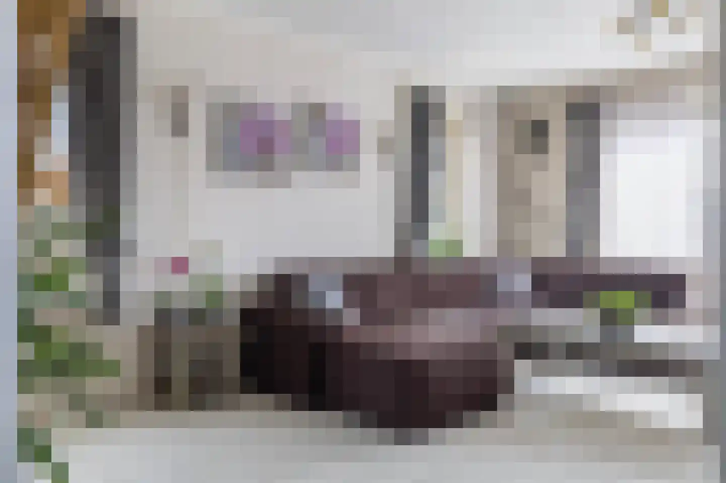 De Hoge Loo 29 Emmen thumbnail 13