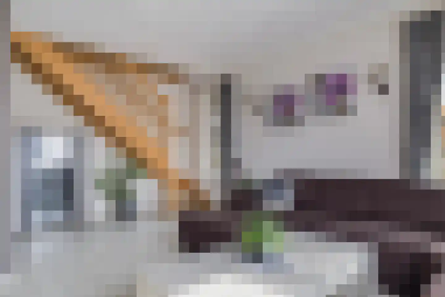 De Hoge Loo 29 Emmen thumbnail 14