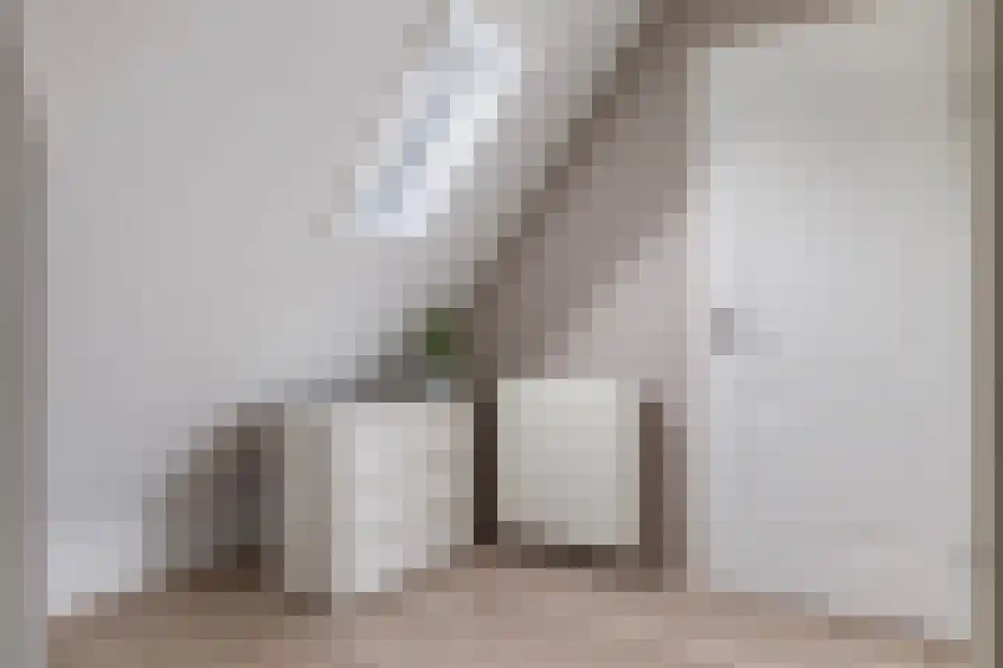 De Hoge Loo 29 Emmen thumbnail 23