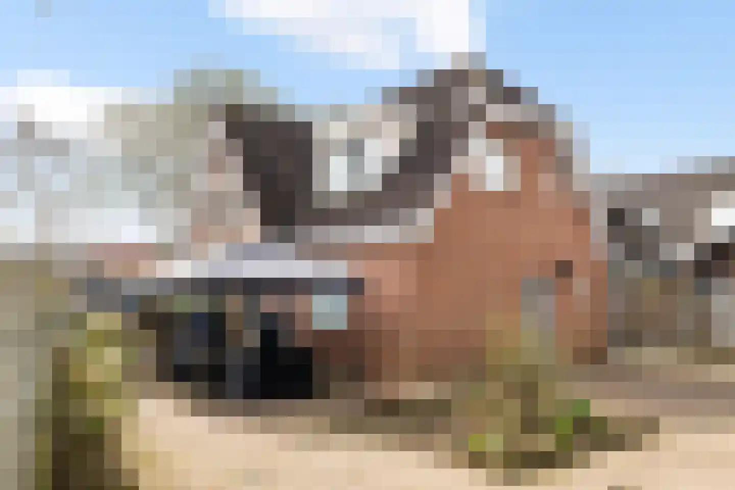 De Hoge Loo 29 Emmen thumbnail 27
