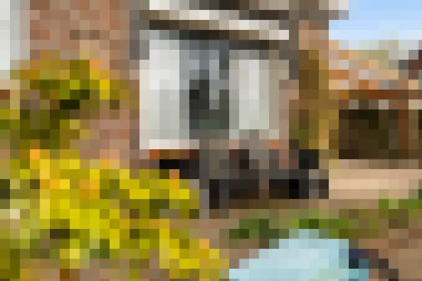 De Hoge Loo 29 Emmen thumbnail 9