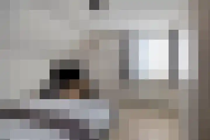 De Hoge Wal 11 Heesch thumbnail 27