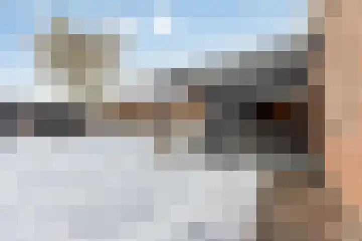 De Hoge Wal 11 Heesch thumbnail 40