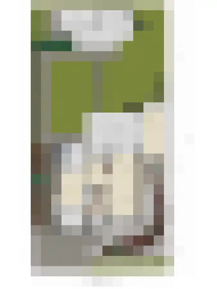 De Hoge Wal 11 Heesch thumbnail 55