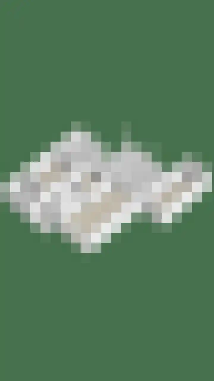 De Hoge Wal 11 Heesch thumbnail 58