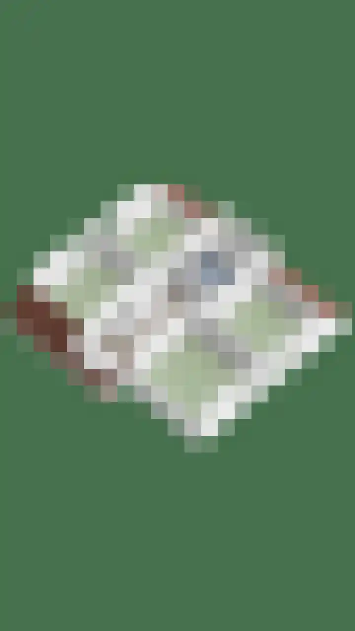 De Hoge Wal 11 Heesch thumbnail 60